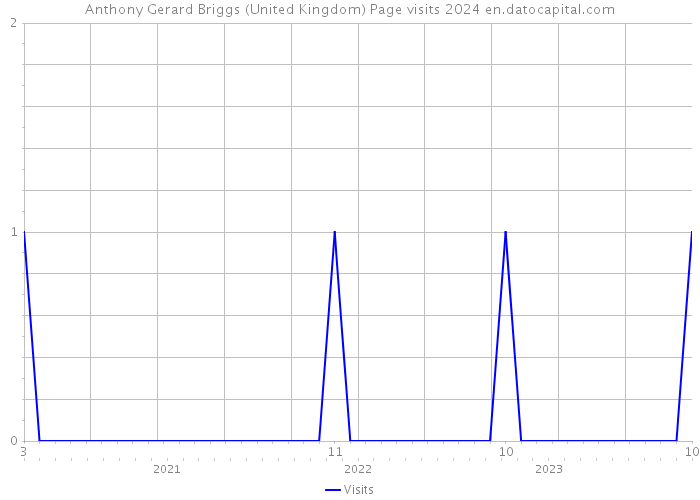 Anthony Gerard Briggs (United Kingdom) Page visits 2024 
