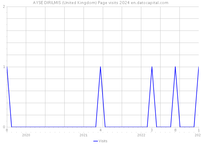 AYSE DIRILMIS (United Kingdom) Page visits 2024 
