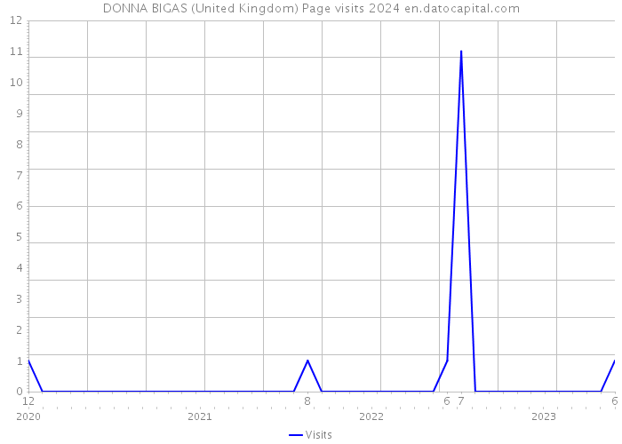 DONNA BIGAS (United Kingdom) Page visits 2024 