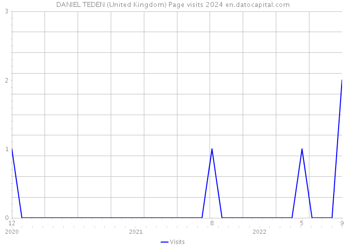 DANIEL TEDEN (United Kingdom) Page visits 2024 