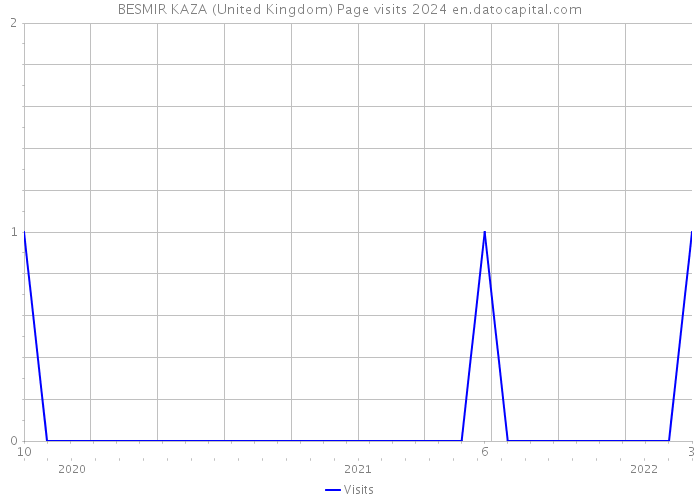 BESMIR KAZA (United Kingdom) Page visits 2024 