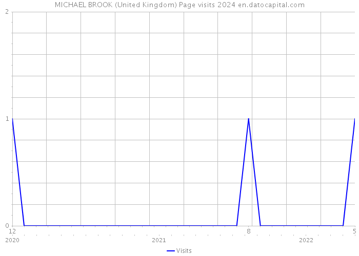 MICHAEL BROOK (United Kingdom) Page visits 2024 