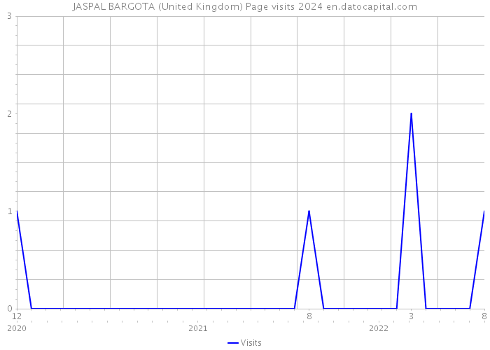 JASPAL BARGOTA (United Kingdom) Page visits 2024 