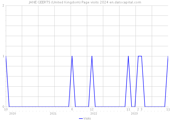 JANE GEERTS (United Kingdom) Page visits 2024 