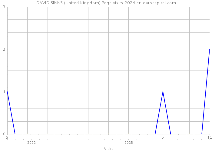 DAVID BINNS (United Kingdom) Page visits 2024 