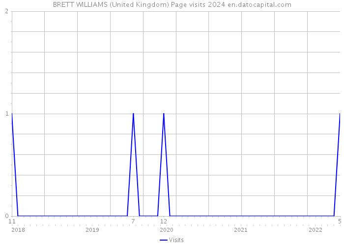 BRETT WILLIAMS (United Kingdom) Page visits 2024 