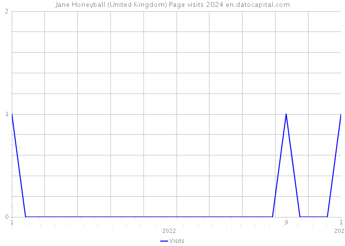 Jane Honeyball (United Kingdom) Page visits 2024 