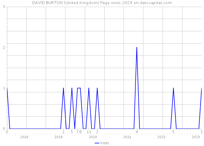 DAVID BURTON (United Kingdom) Page visits 2024 