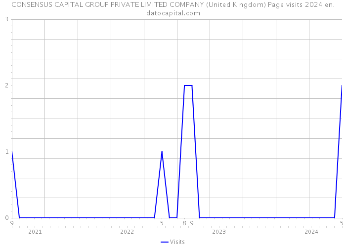 CONSENSUS CAPITAL GROUP PRIVATE LIMITED COMPANY (United Kingdom) Page visits 2024 