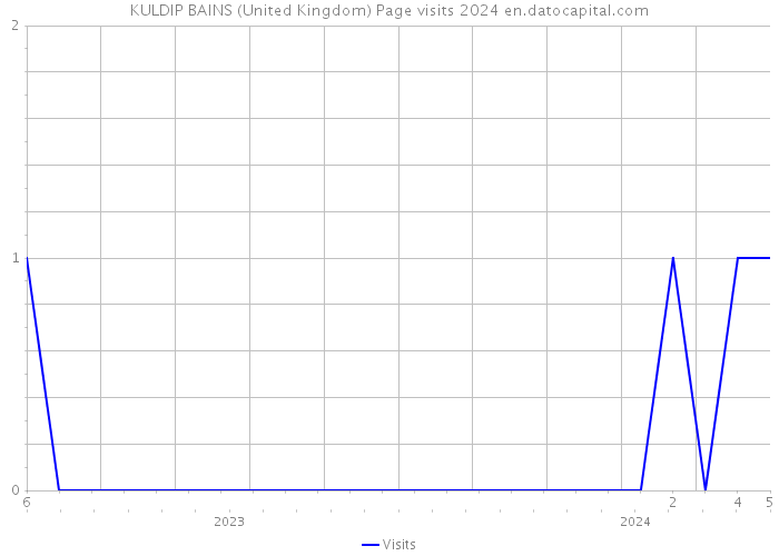 KULDIP BAINS (United Kingdom) Page visits 2024 