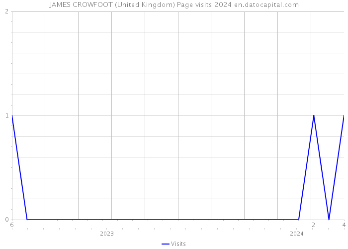 JAMES CROWFOOT (United Kingdom) Page visits 2024 