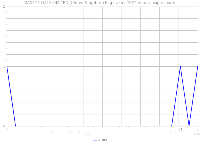 SASSY KOALA LIMITED (United Kingdom) Page visits 2024 
