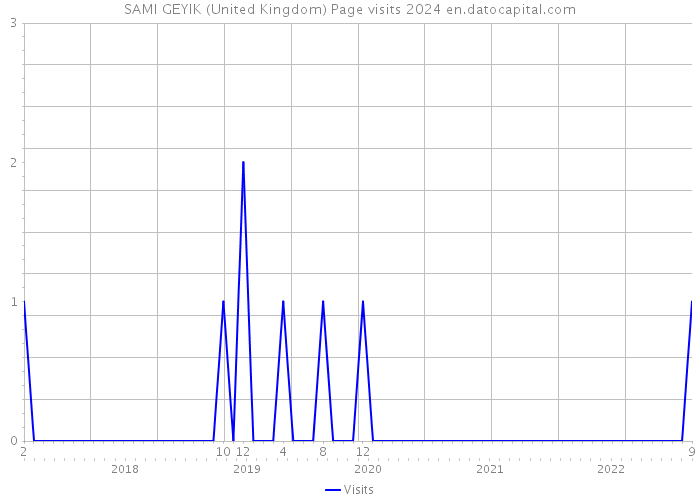 SAMI GEYIK (United Kingdom) Page visits 2024 