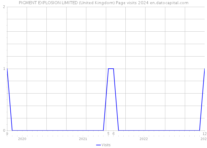 PIGMENT EXPLOSION LIMITED (United Kingdom) Page visits 2024 