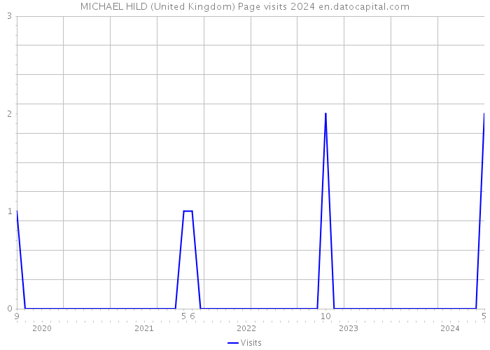MICHAEL HILD (United Kingdom) Page visits 2024 