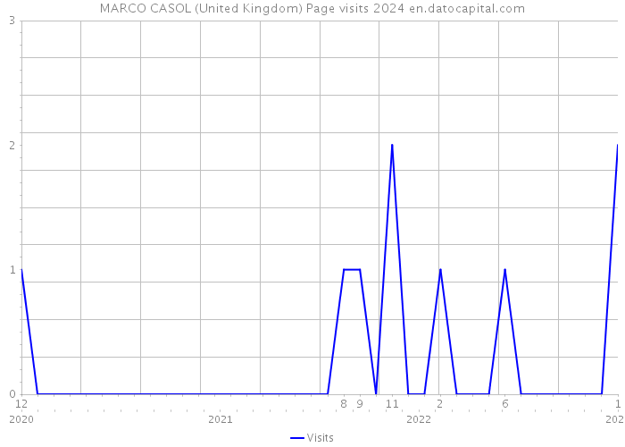 MARCO CASOL (United Kingdom) Page visits 2024 