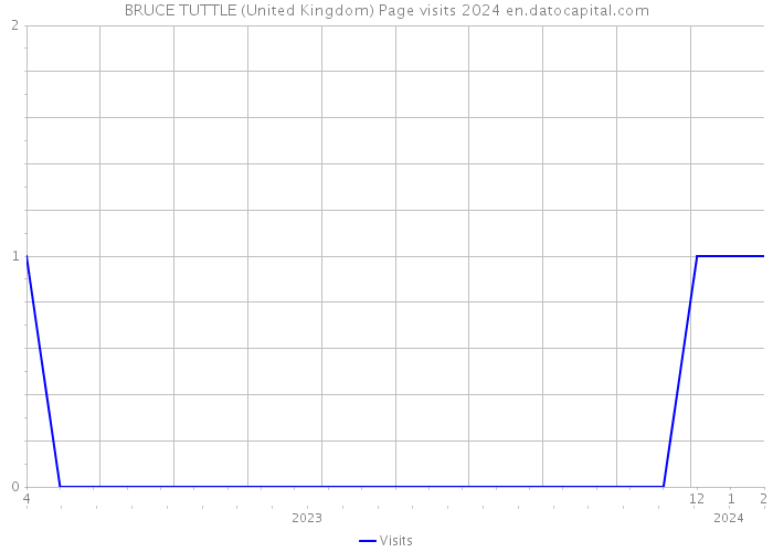 BRUCE TUTTLE (United Kingdom) Page visits 2024 