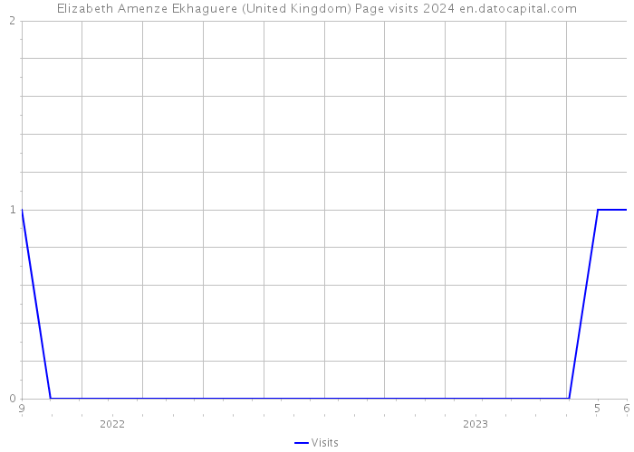 Elizabeth Amenze Ekhaguere (United Kingdom) Page visits 2024 