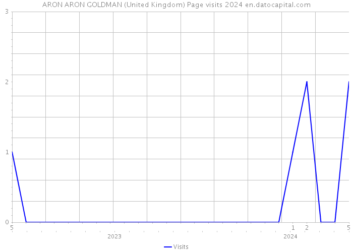 ARON ARON GOLDMAN (United Kingdom) Page visits 2024 