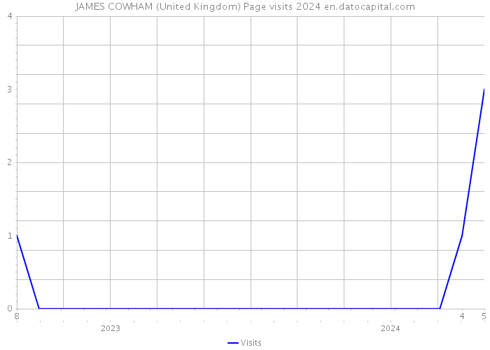 JAMES COWHAM (United Kingdom) Page visits 2024 
