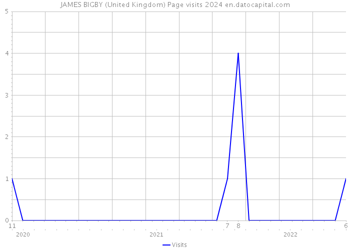 JAMES BIGBY (United Kingdom) Page visits 2024 