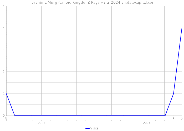 Florentina Murg (United Kingdom) Page visits 2024 