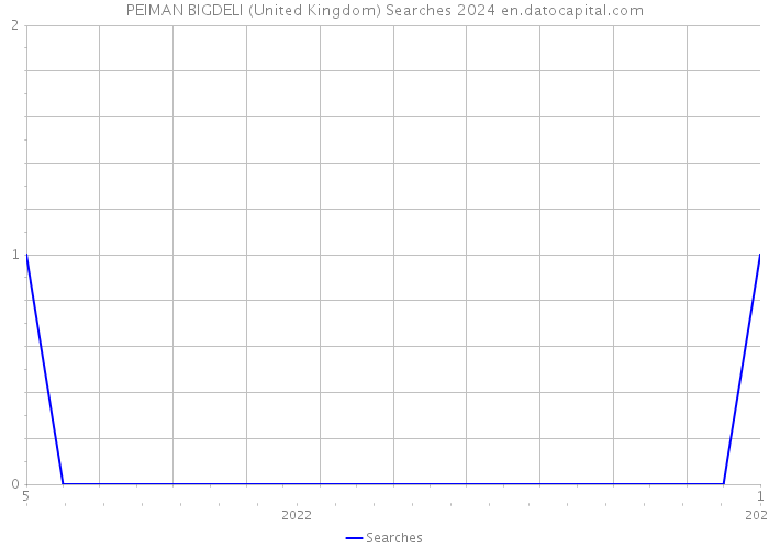 PEIMAN BIGDELI (United Kingdom) Searches 2024 