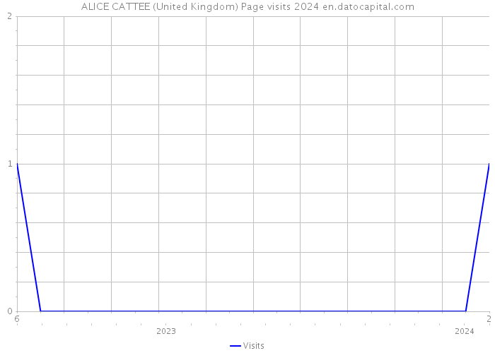 ALICE CATTEE (United Kingdom) Page visits 2024 