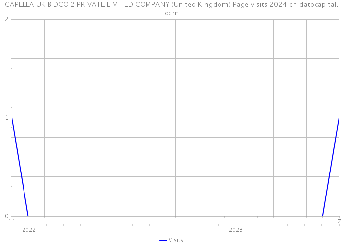 CAPELLA UK BIDCO 2 PRIVATE LIMITED COMPANY (United Kingdom) Page visits 2024 