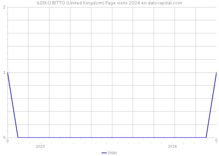 ILDIKO BITTO (United Kingdom) Page visits 2024 