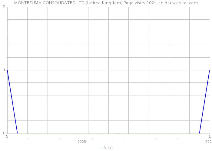 MONTEZUMA CONSOLIDATED LTD (United Kingdom) Page visits 2024 