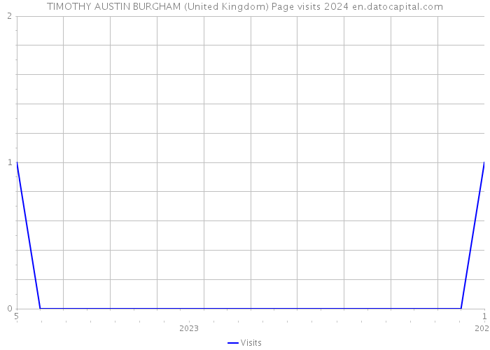 TIMOTHY AUSTIN BURGHAM (United Kingdom) Page visits 2024 