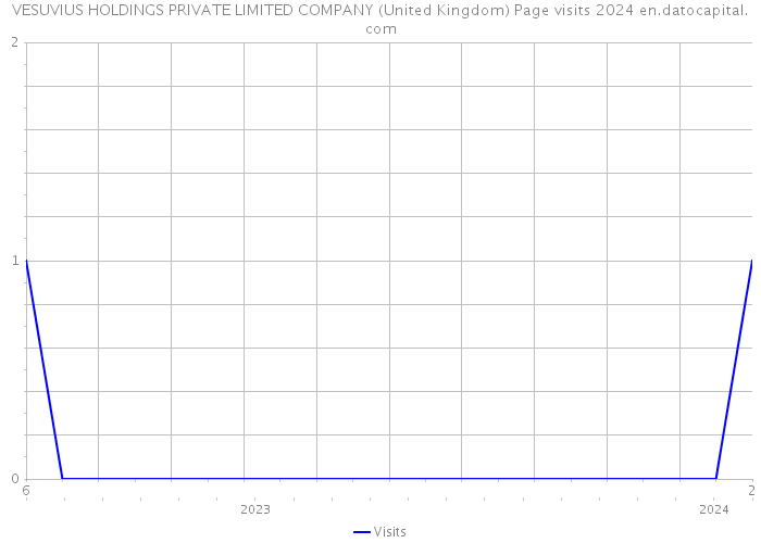 VESUVIUS HOLDINGS PRIVATE LIMITED COMPANY (United Kingdom) Page visits 2024 