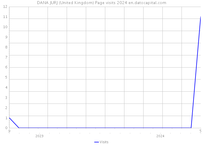 DANA JURJ (United Kingdom) Page visits 2024 