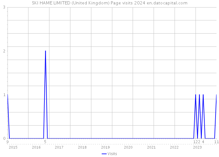 SKI HAME LIMITED (United Kingdom) Page visits 2024 