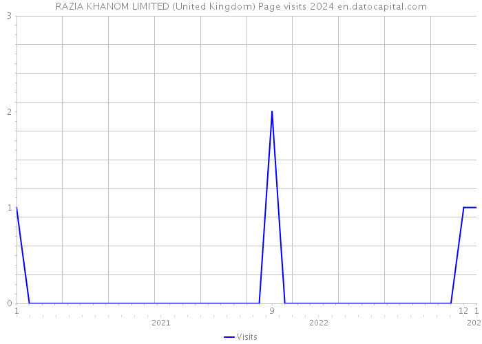 RAZIA KHANOM LIMITED (United Kingdom) Page visits 2024 