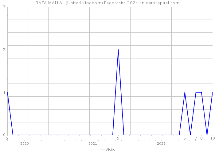 RAZA MALLAL (United Kingdom) Page visits 2024 