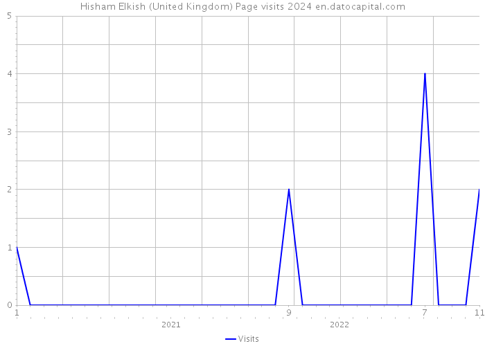 Hisham Elkish (United Kingdom) Page visits 2024 