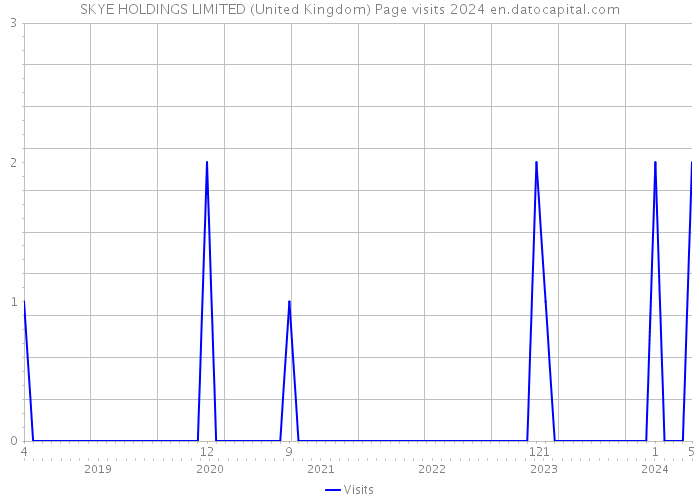 SKYE HOLDINGS LIMITED (United Kingdom) Page visits 2024 