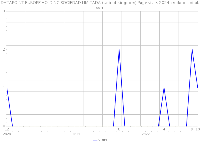 DATAPOINT EUROPE HOLDING SOCIEDAD LIMITADA (United Kingdom) Page visits 2024 