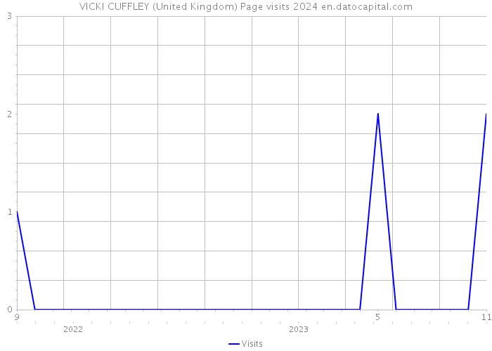 VICKI CUFFLEY (United Kingdom) Page visits 2024 