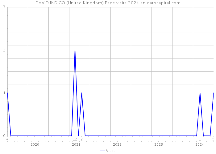 DAVID INDIGO (United Kingdom) Page visits 2024 