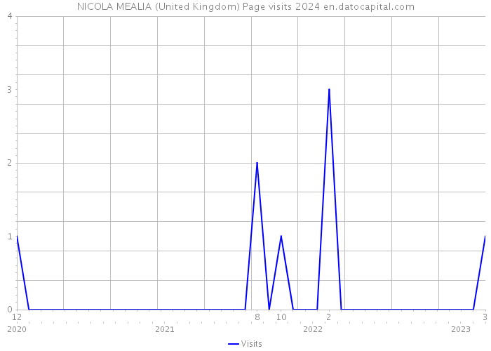 NICOLA MEALIA (United Kingdom) Page visits 2024 
