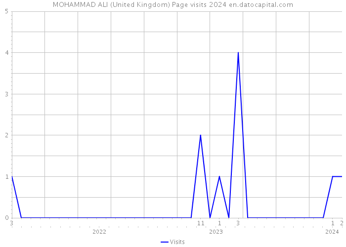 MOHAMMAD ALI (United Kingdom) Page visits 2024 