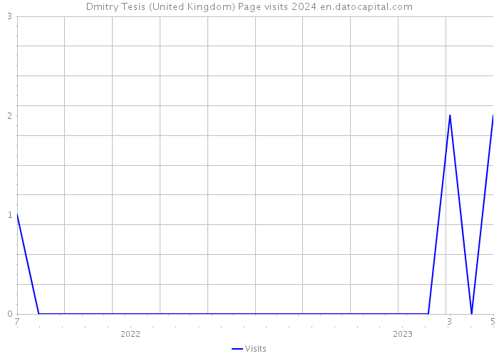 Dmitry Tesis (United Kingdom) Page visits 2024 