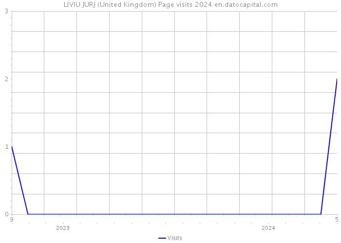 LIVIU JURJ (United Kingdom) Page visits 2024 