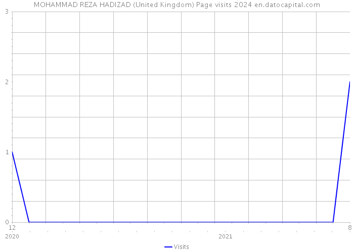 MOHAMMAD REZA HADIZAD (United Kingdom) Page visits 2024 