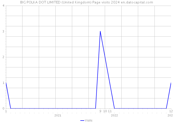 BIG POLKA DOT LIMITED (United Kingdom) Page visits 2024 