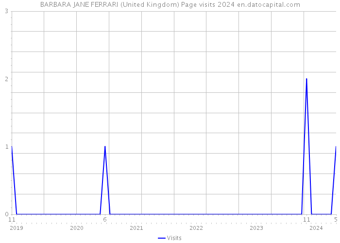 BARBARA JANE FERRARI (United Kingdom) Page visits 2024 