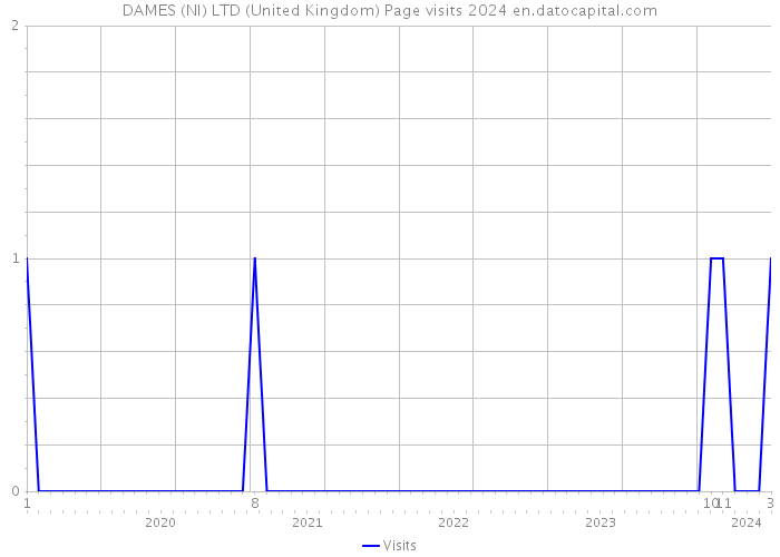DAMES (NI) LTD (United Kingdom) Page visits 2024 